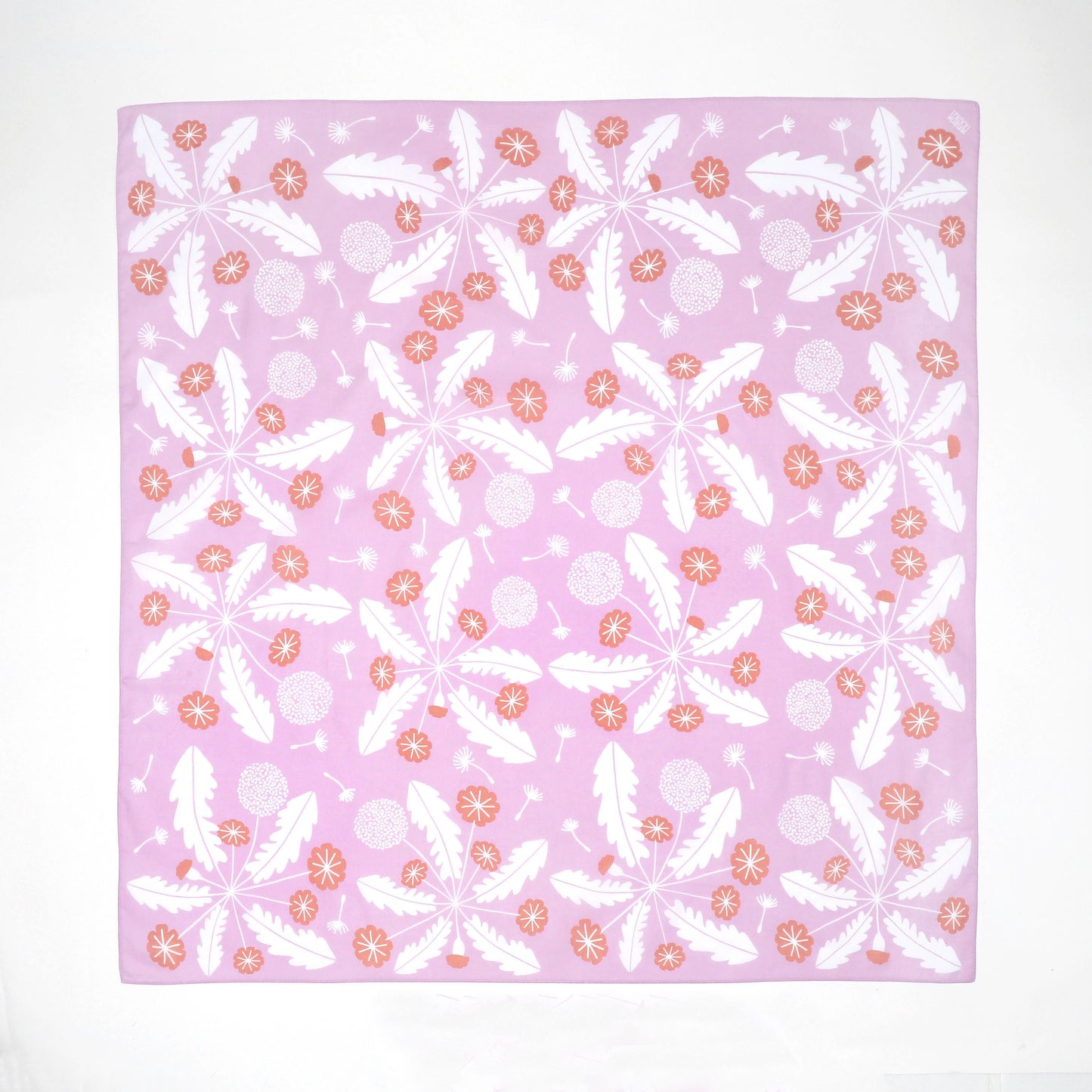 Dandelion 蒲公英 (Lavendar & Pink)