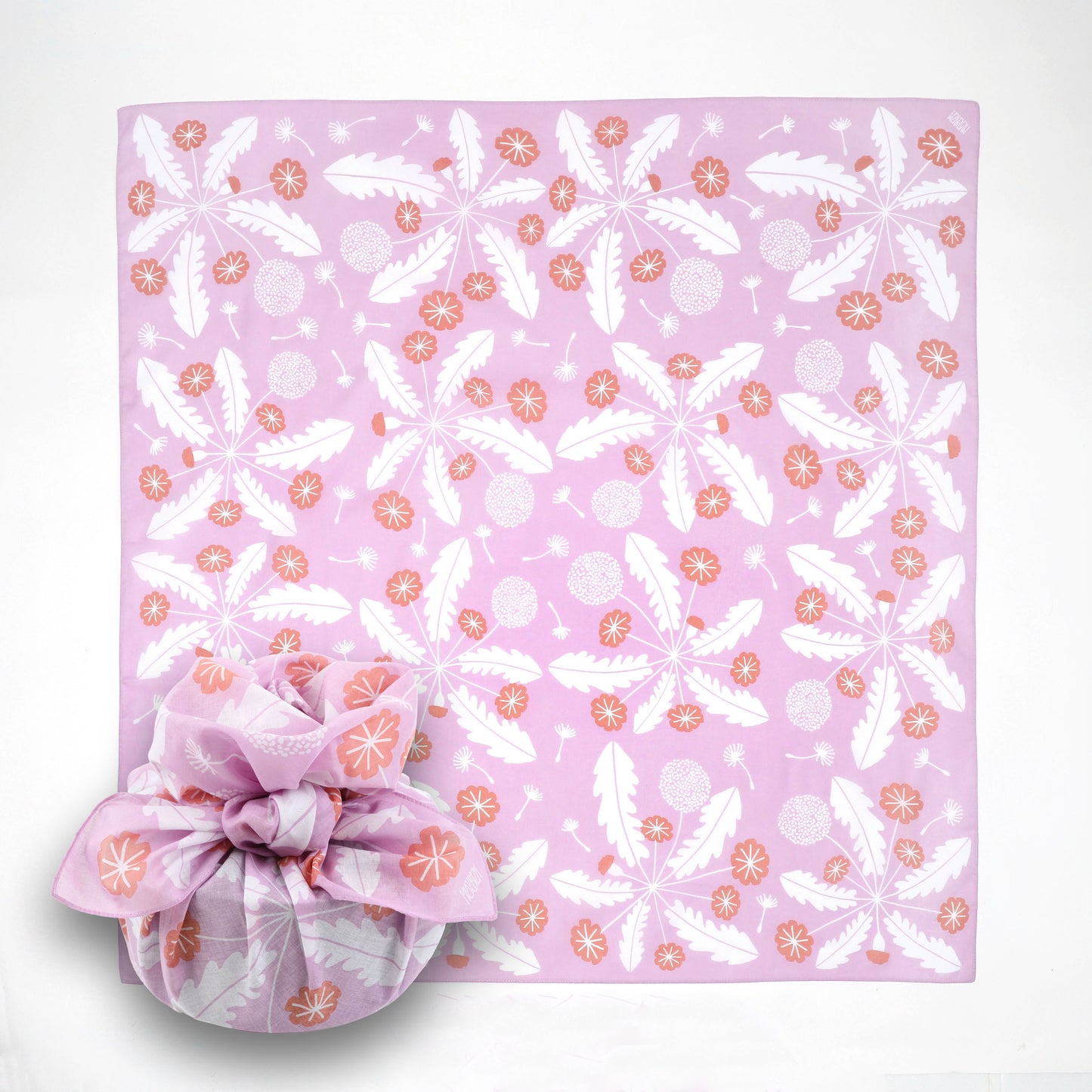 Dandelion 蒲公英 (Lavendar & Pink)