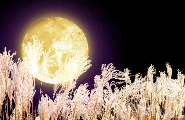 The Harvest Moon: A Moment to Reflect and Connect with Nature