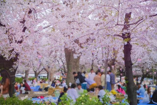 Japanese Traditions that Enrich the Heart: Yoshuku and Yoken